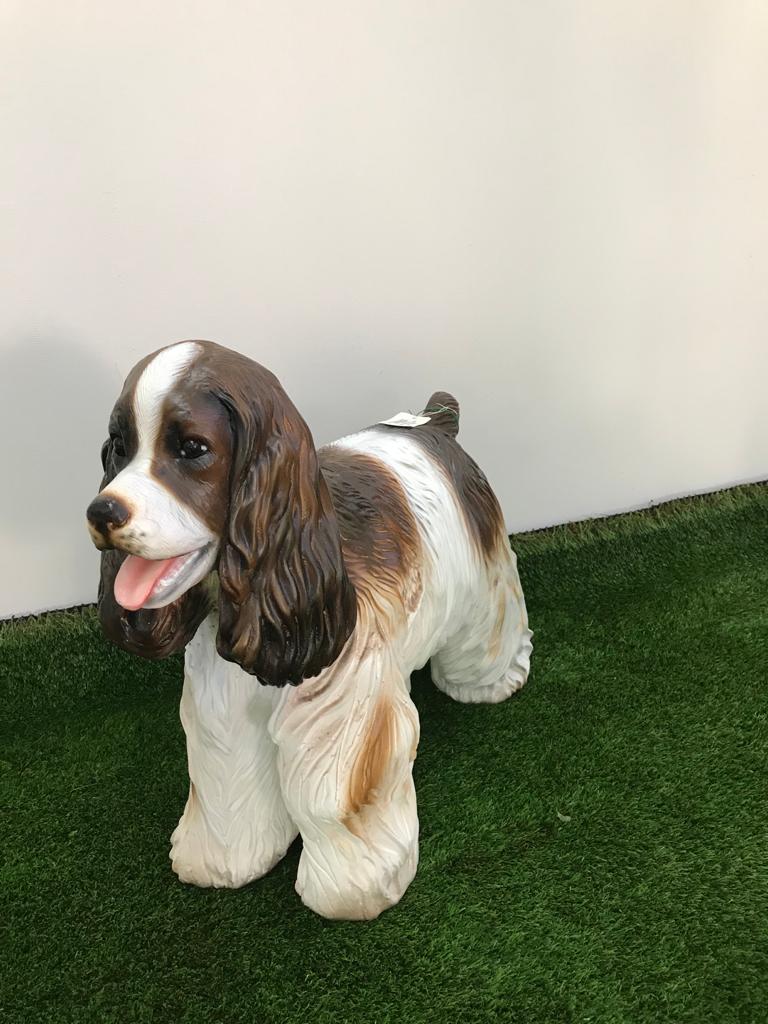 ENGLISH COCKER BROWN