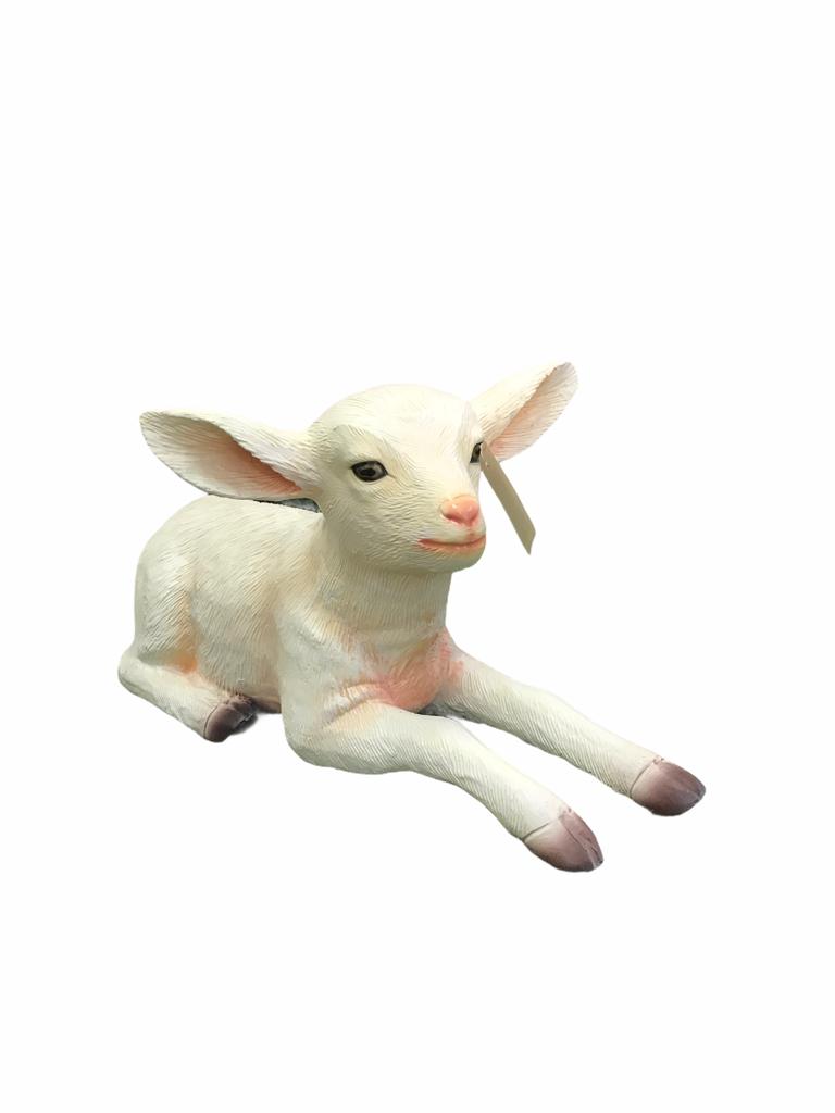 GOAT-KID-LYING-3369