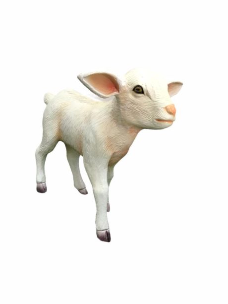 Goat Kid Standing 1.25ft.