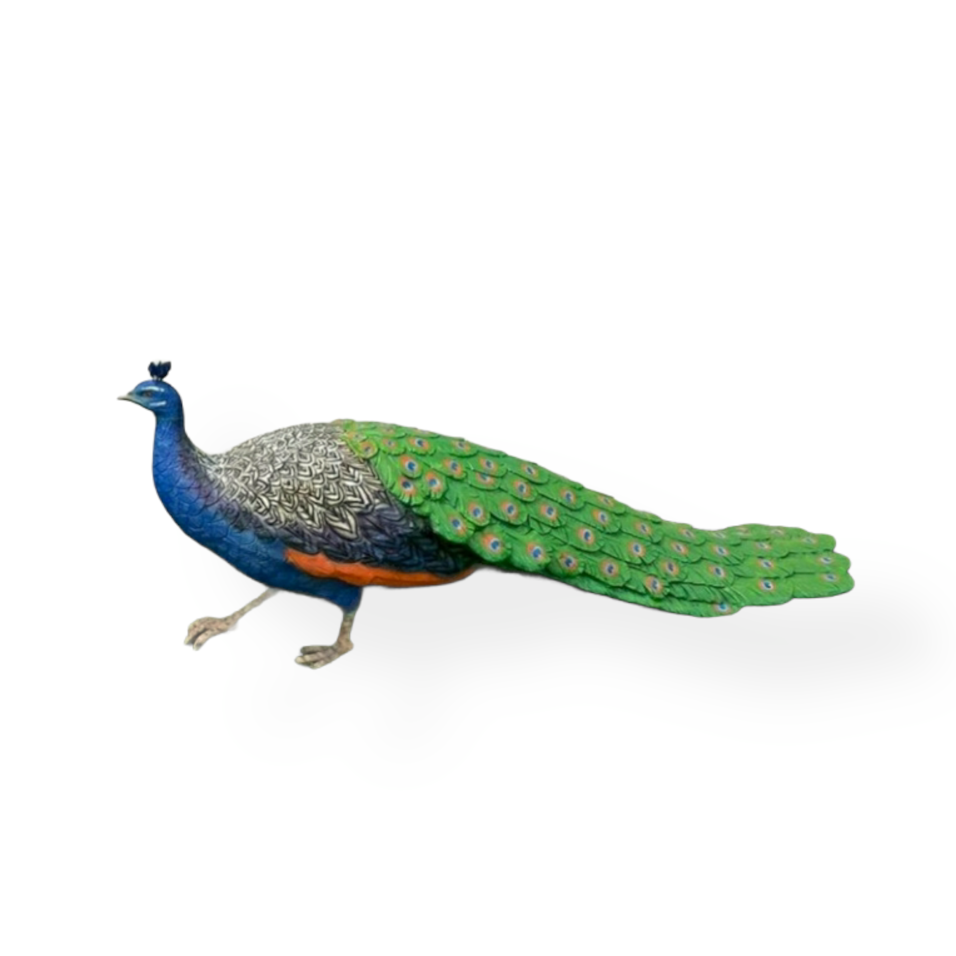 PEACOCK MALE 5FT. LONG