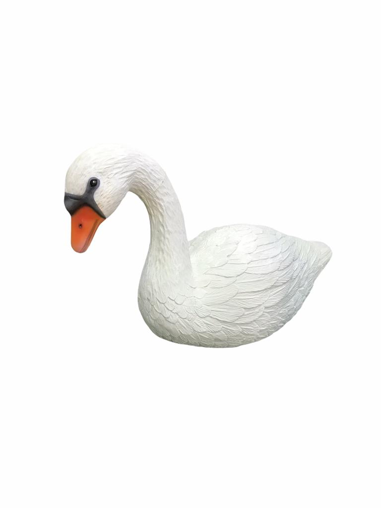 SWAN-SITTING-MS