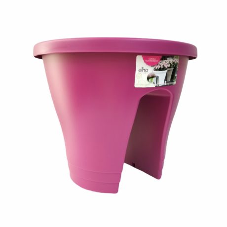 CORSICA FLOWER BRIDGE 30CM CHERRY