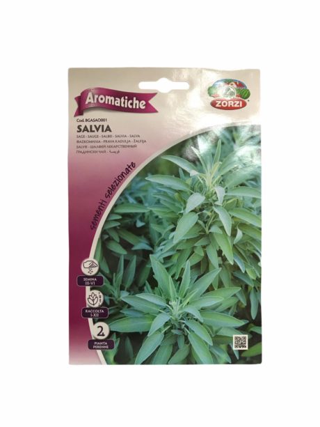 ZORZI SALVIA 0.50GR BGASAO001