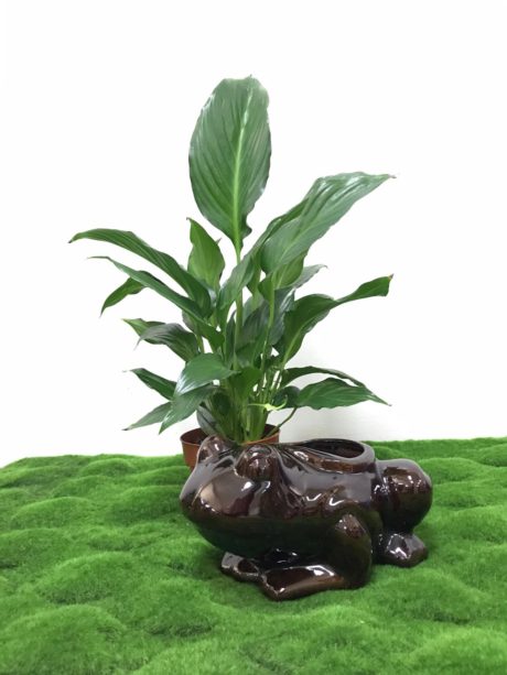 GLAZED ANIMALS FROG BROWN 45X35X30CM ID2113