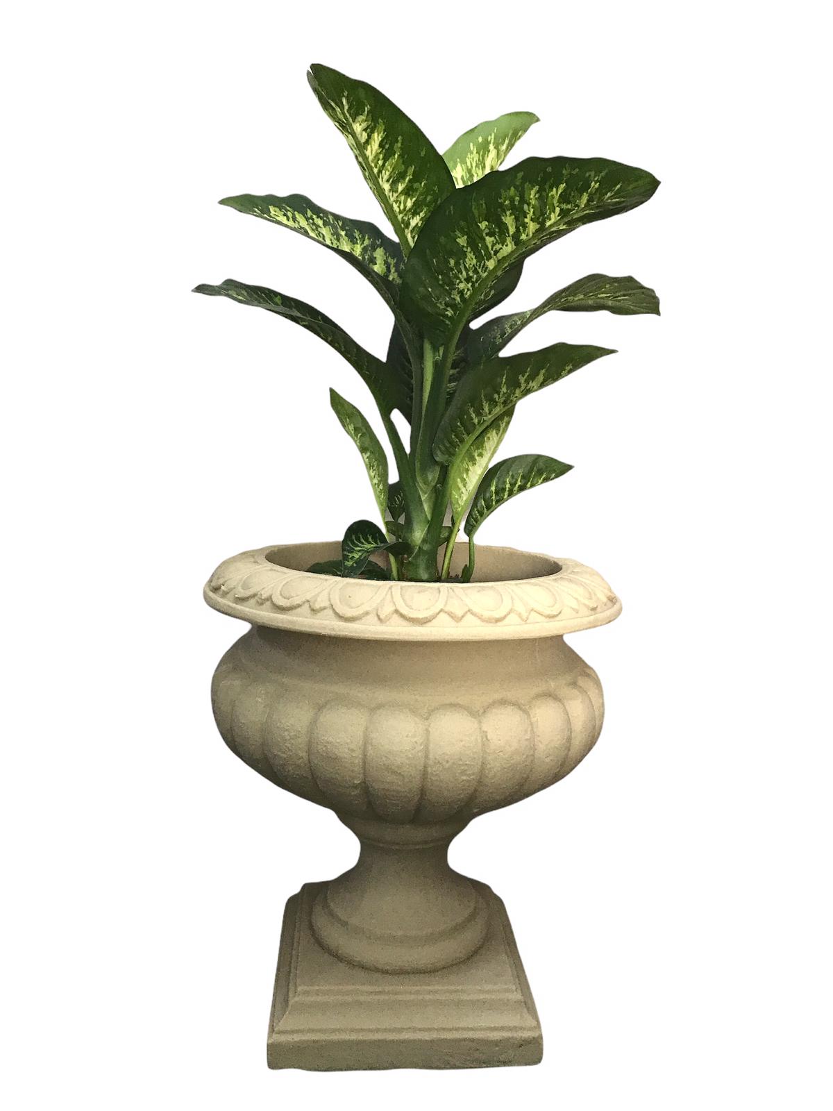 Luxo Lime Stone Pot H69cmX62cm