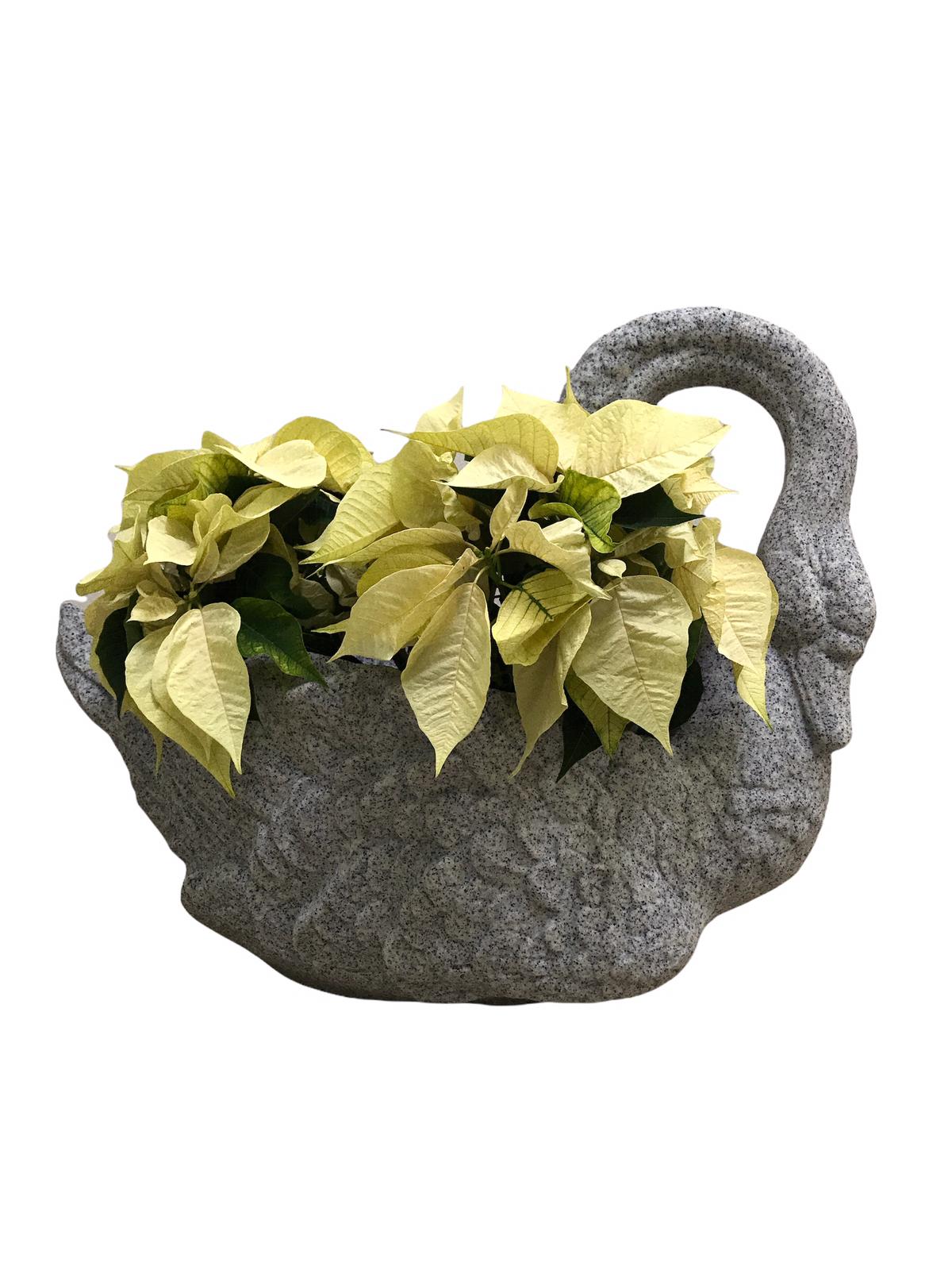 Swan Gray Stone Plastic Pot H51cm