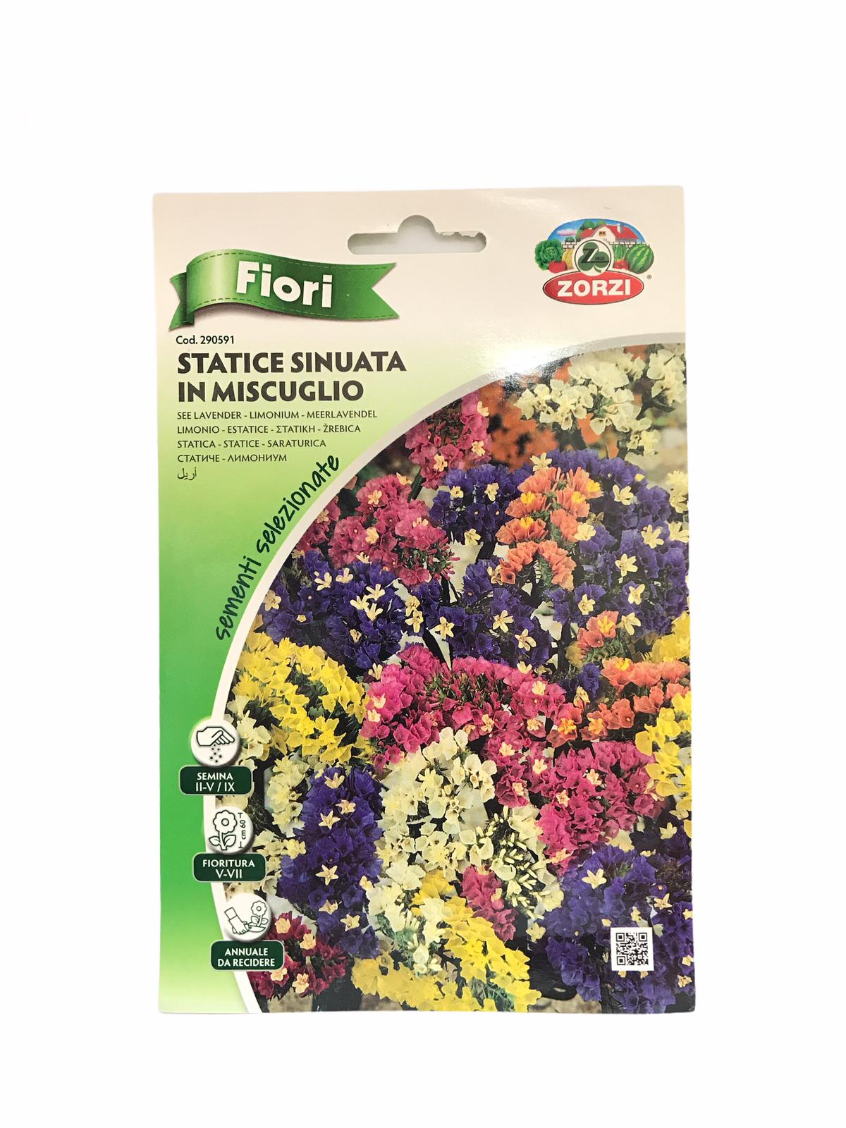 ZORZI SEE LAVENDER MIX 030GR. 290591