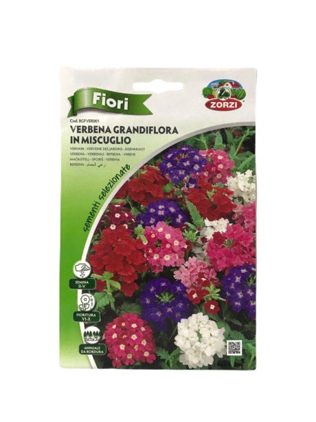 Zorzi Grandiflora Vervain Seeds BGFVER001