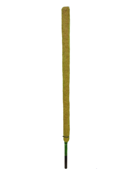 Coco Pole 4 Feet