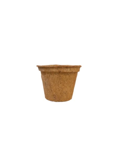 Coco Pot 8inch