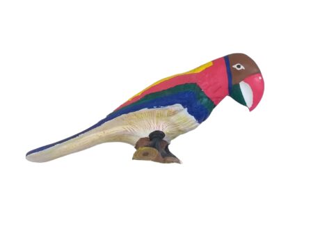 FIBER PARROT H65XL160CM
