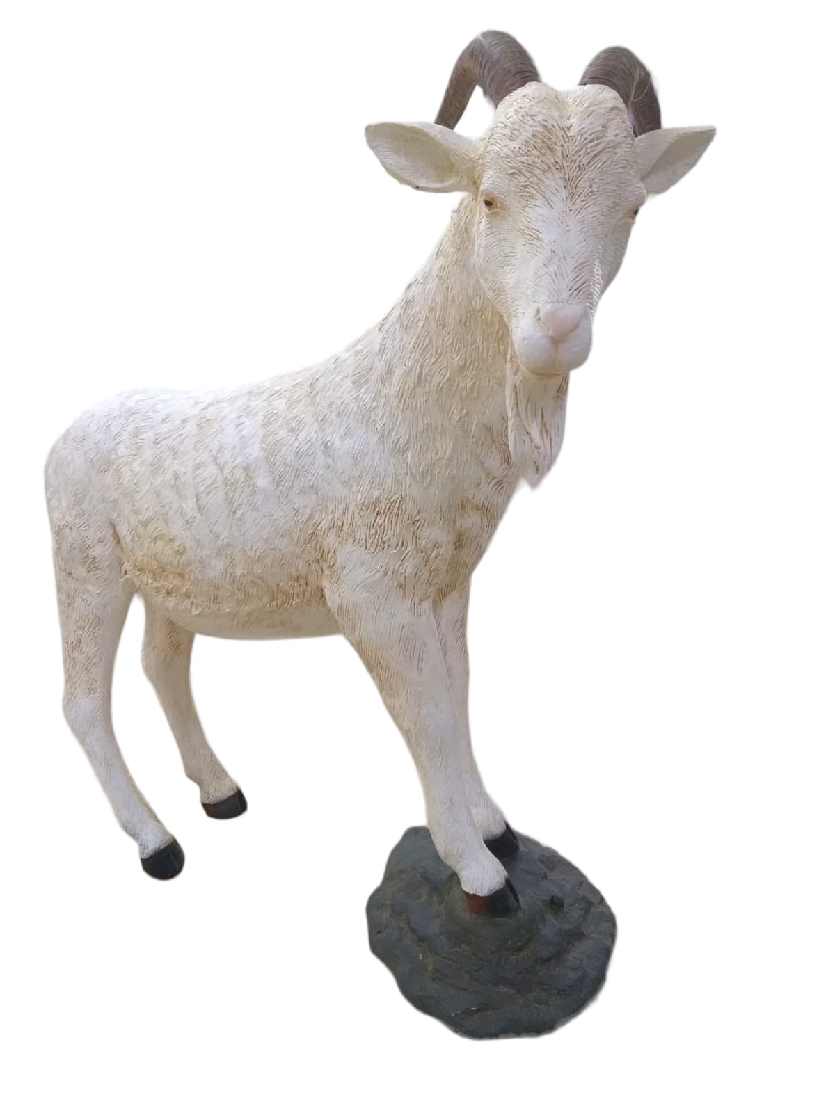 BILLY GOAT