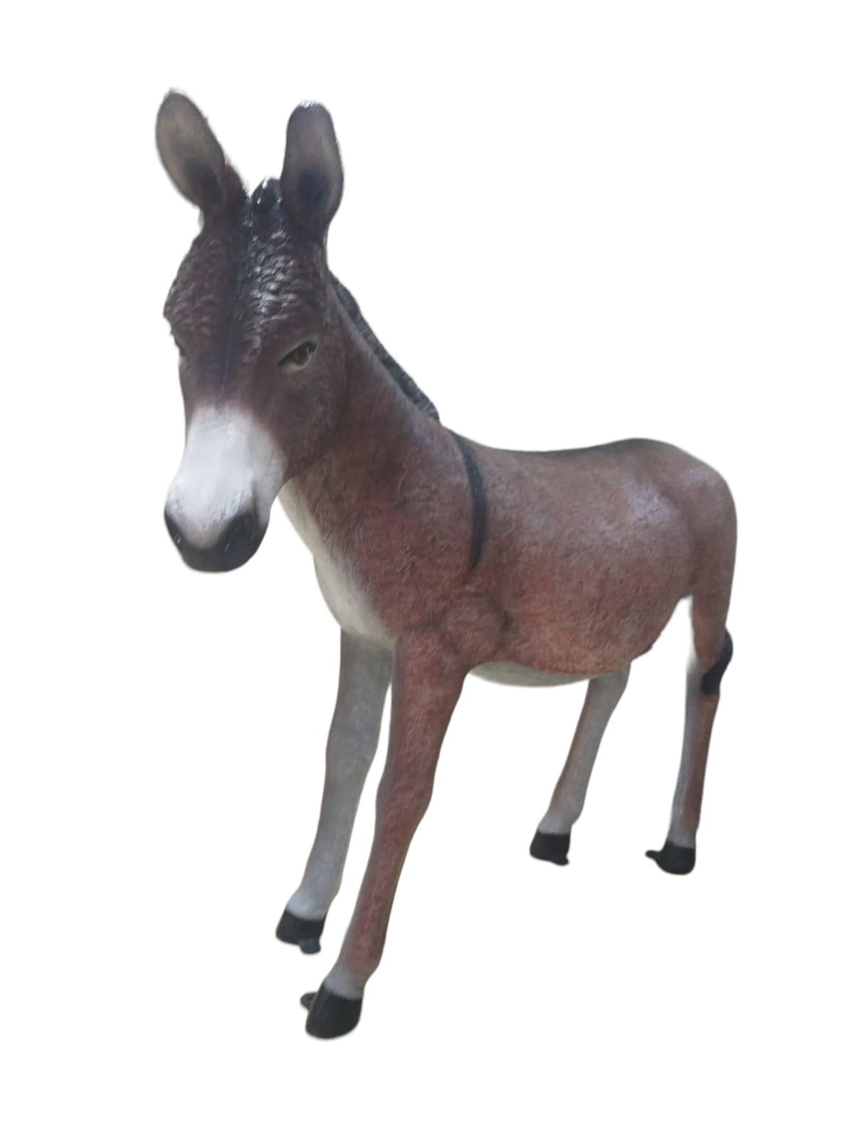 DONKEY
