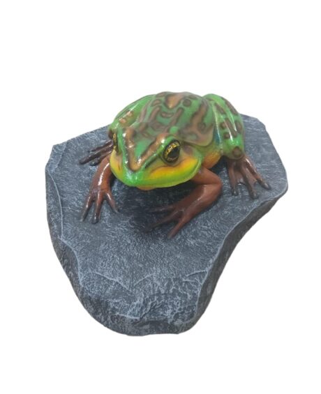 GREEN AND GOLDEN BELL FROG ON ROCK L50 x W45cm