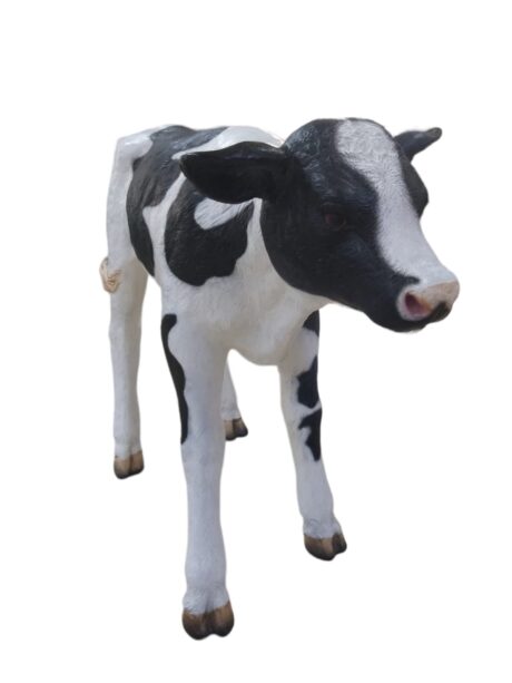 NEWBORN CALF H62 × L90cm