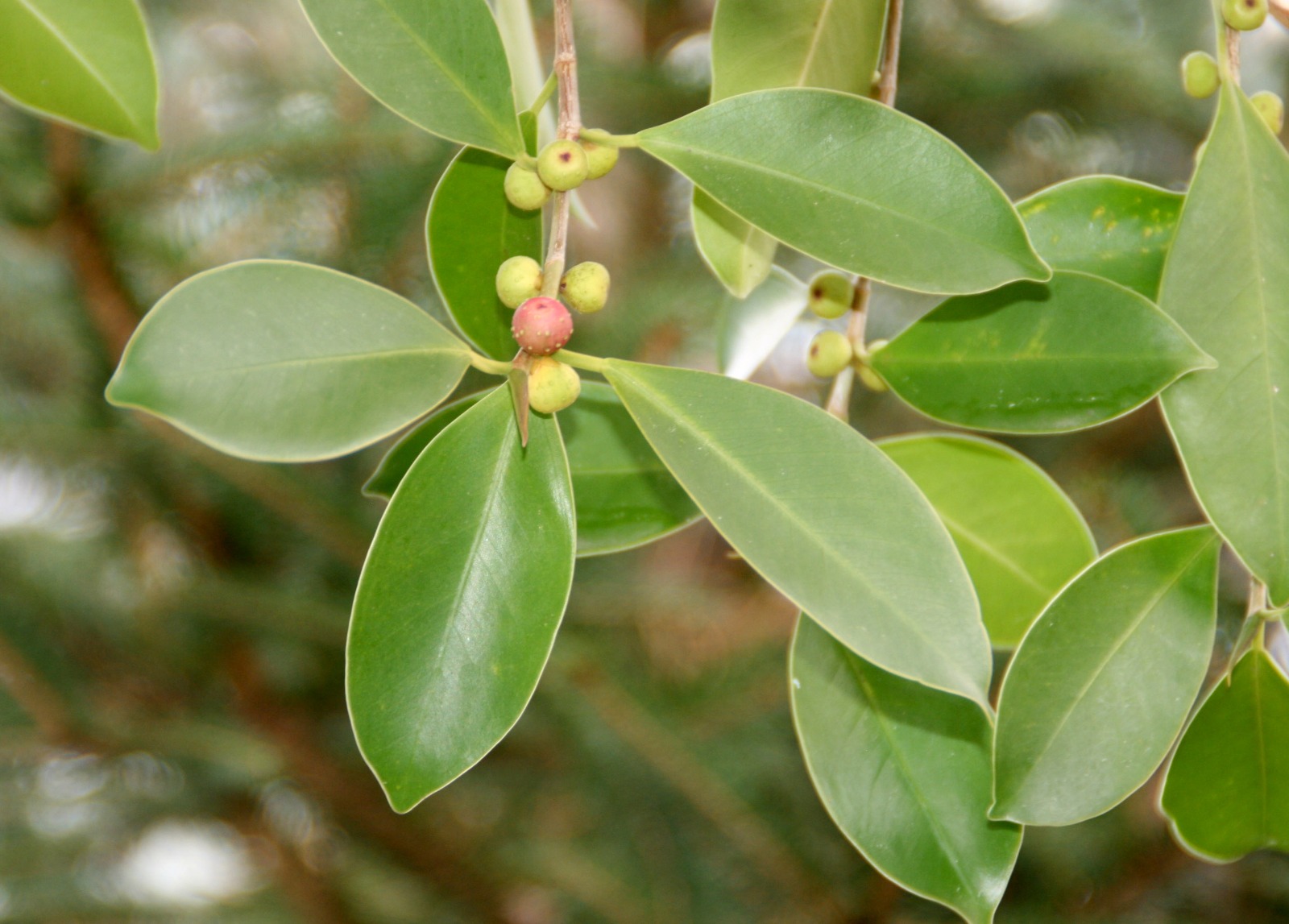 WhatsApp Image 2023-05-30 at 1.52.58 PM