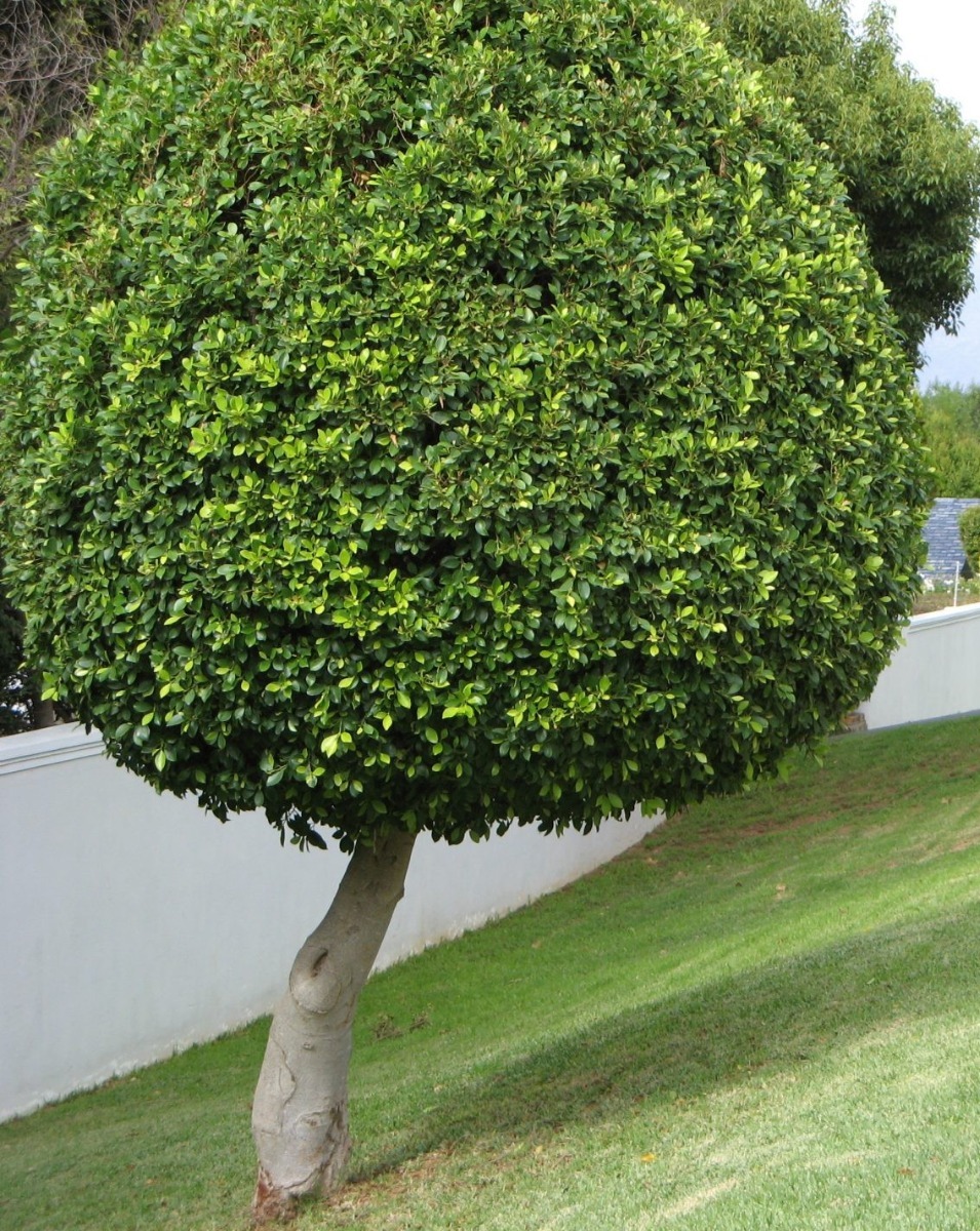 WhatsApp Image 2023-05-30 at 1.53.47 PM