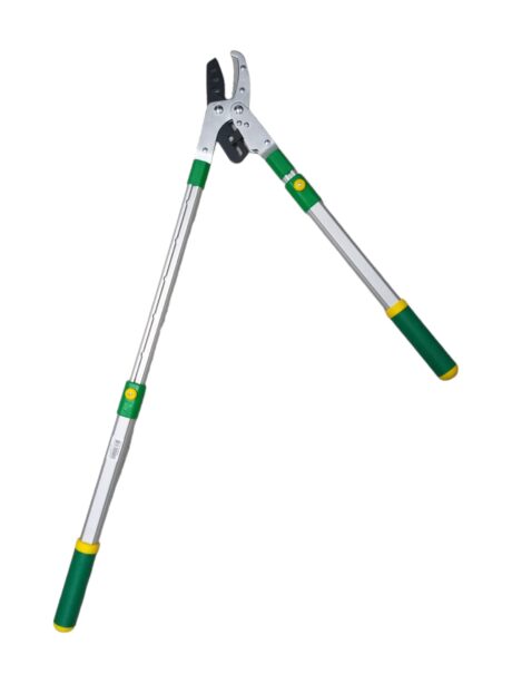 RATCHET ANVIL LOPPER WITH TELESCOPIC HANDLE