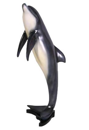 JUMPING DOLPHIN