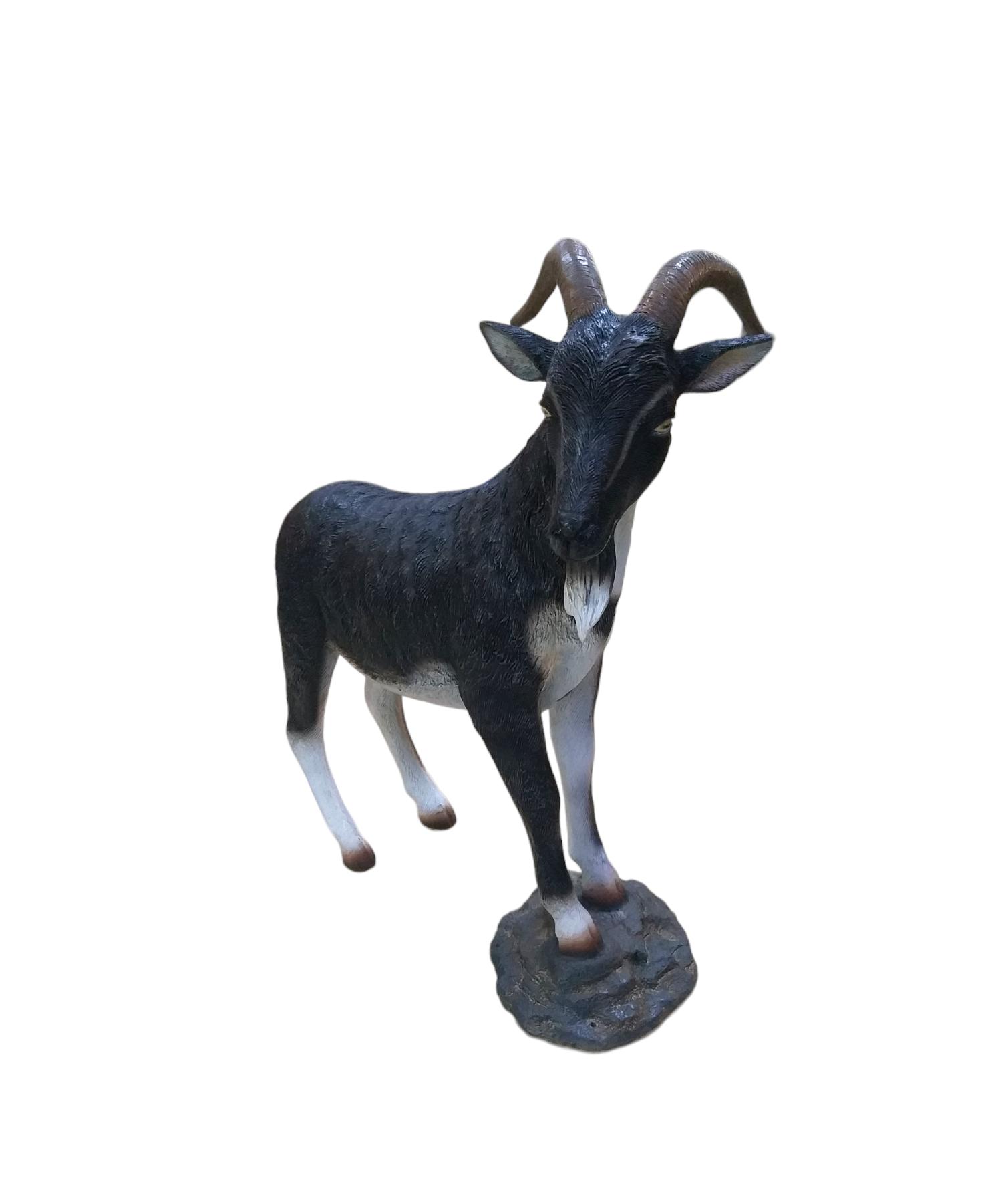 WhatsApp Image 2023-12-05 at 11.48.49 AM