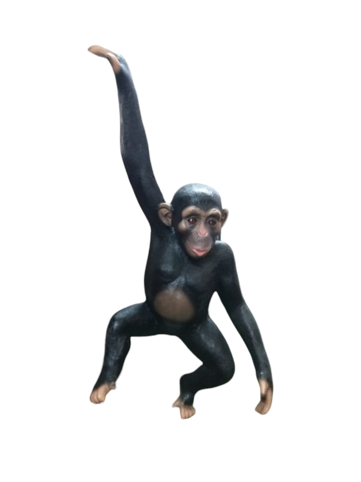 WhatsApp Image 2023-12-05 at 8.45.39 AM