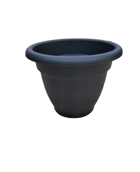 GREEN BASIC COMPANA 30CM BLACK