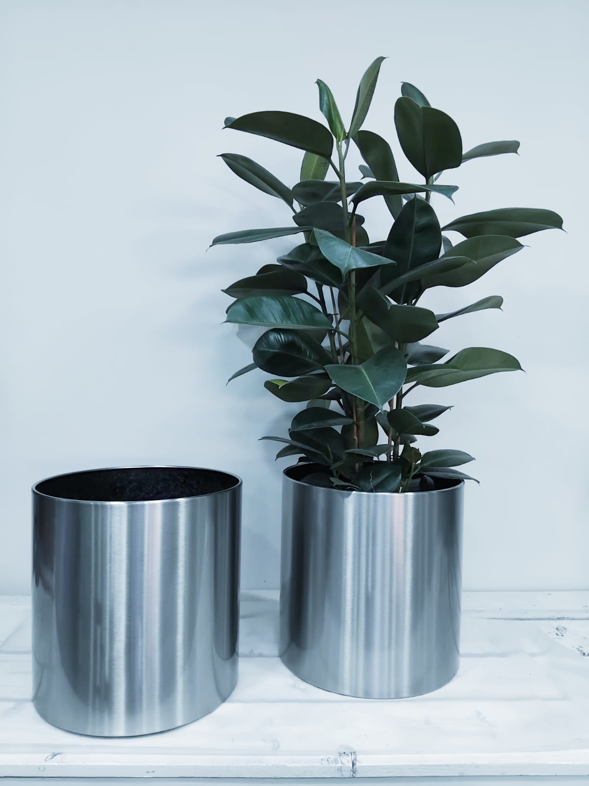 WhatsApp Image 2024-12-15 at 11.07.23 AM