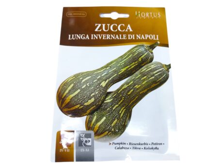 Hortus Zucca Napoli Pumpkin 4gr