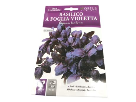 Hortus Basil Violetta