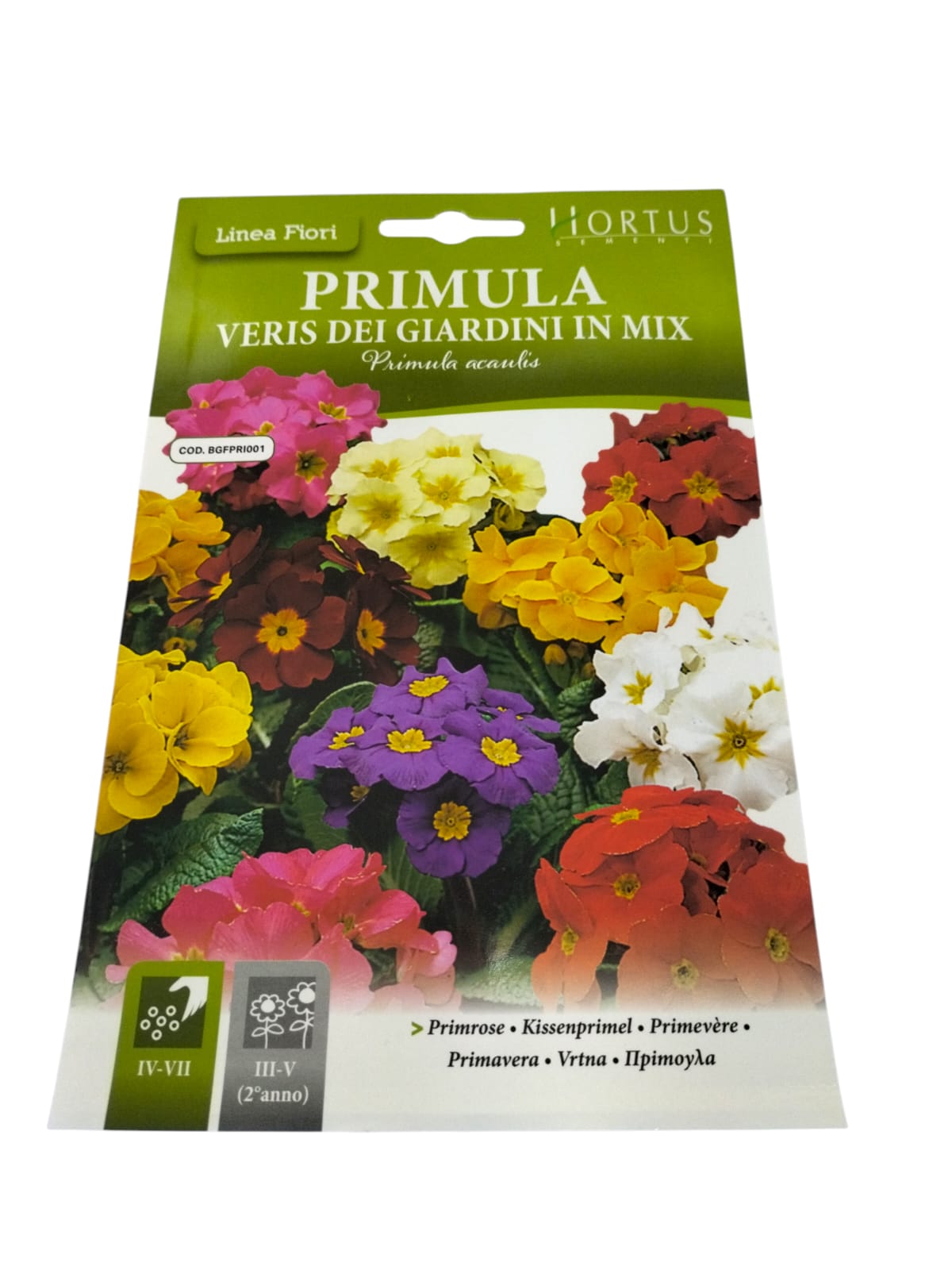 WhatsApp Image 2025-12-02 at 9.52.59 AM (1)