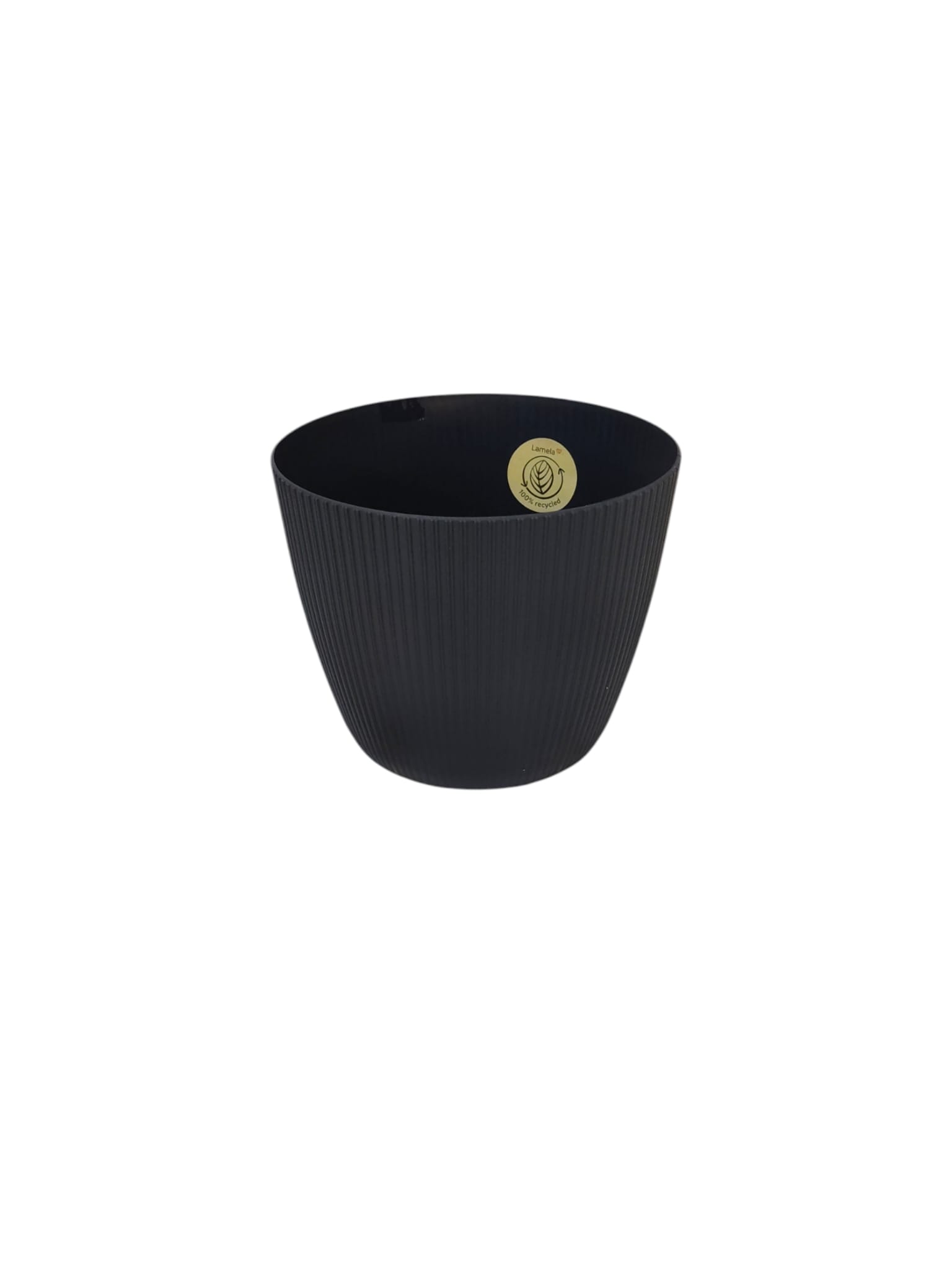 PLL Magnolia Jumper Black H15XD18cm