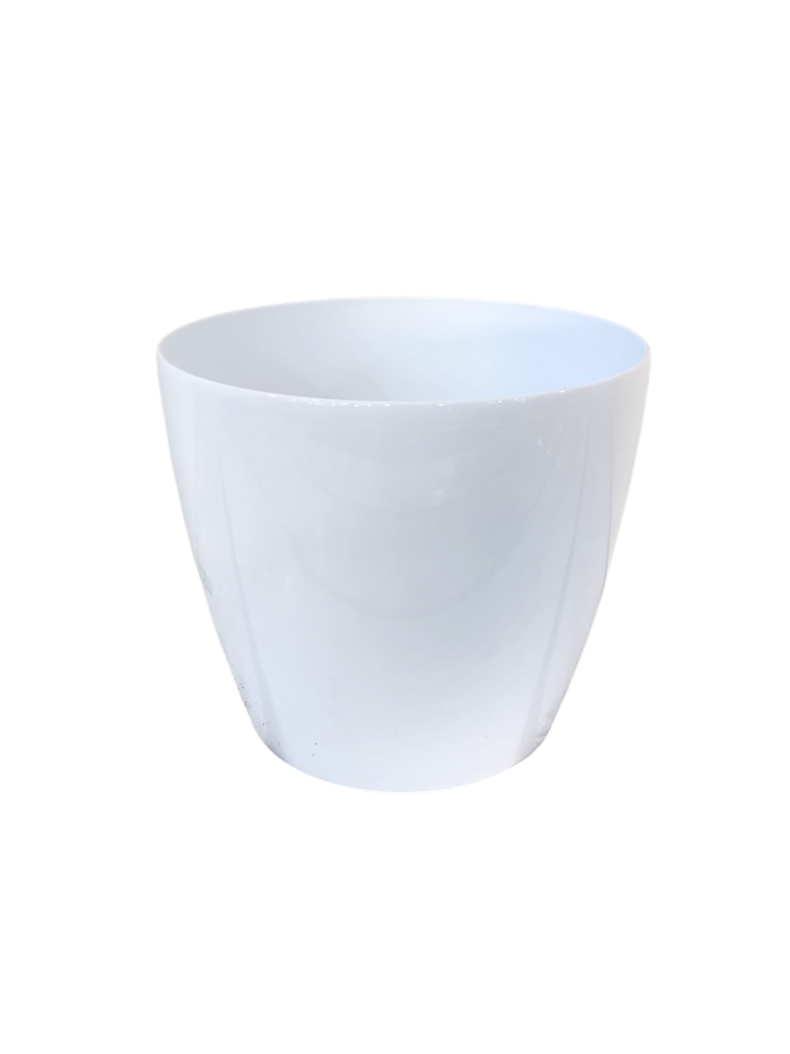 PLL Magnolia white H22XD25cm