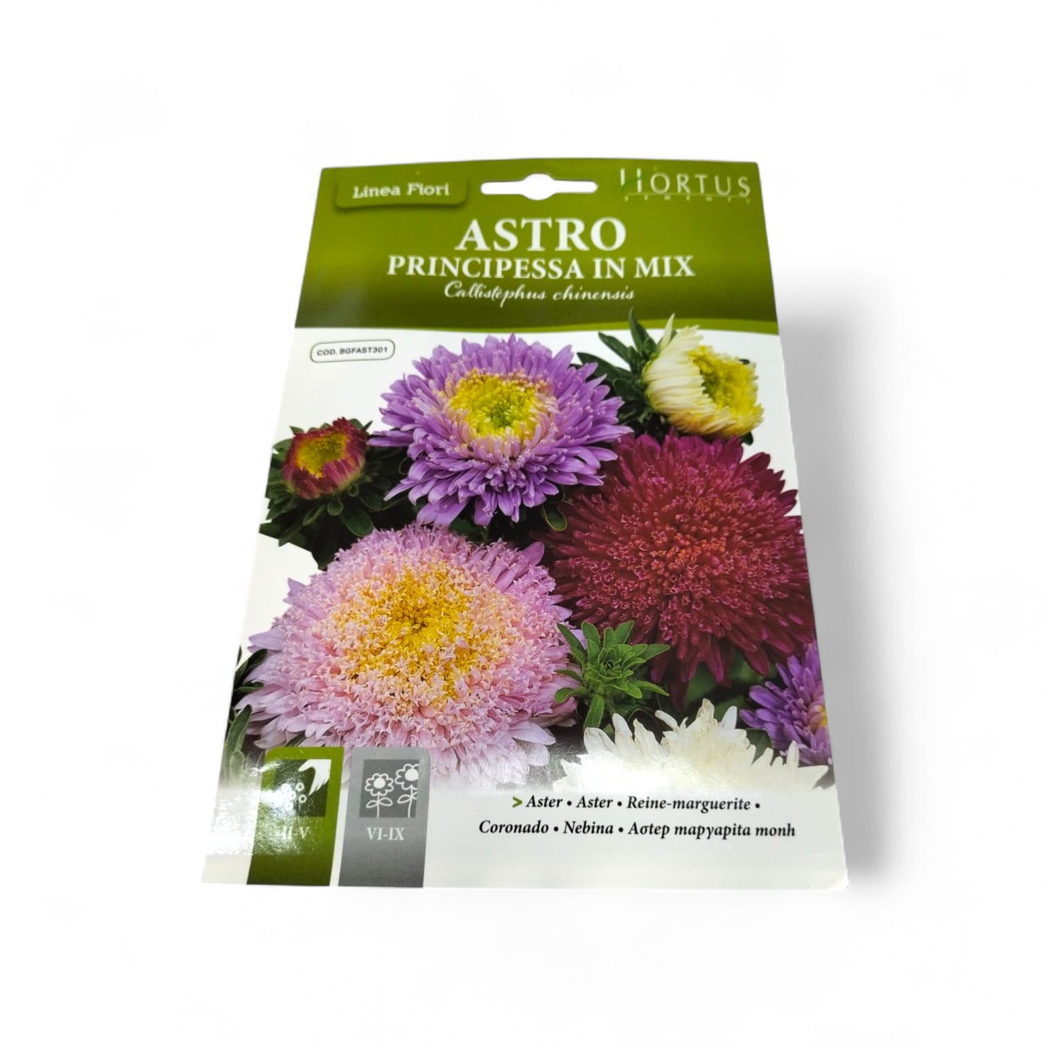 Hortus Aster