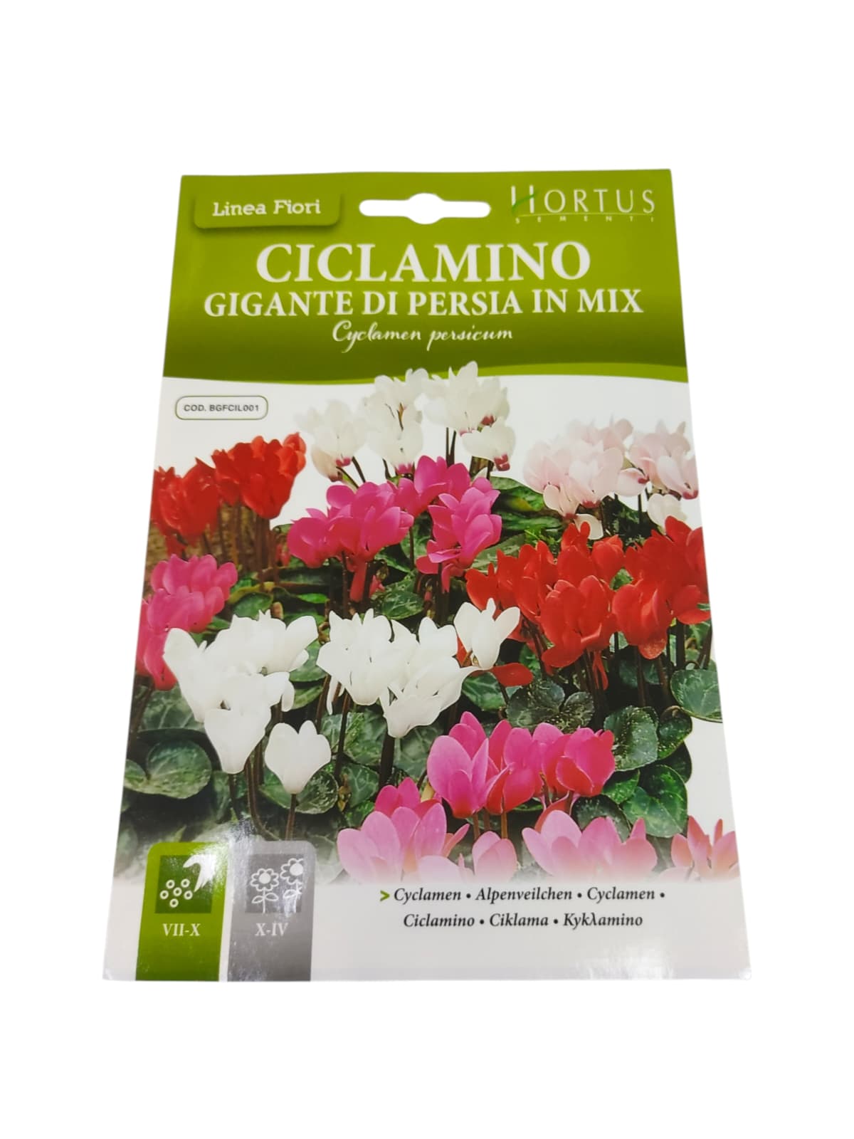 Hortus Cyclamen