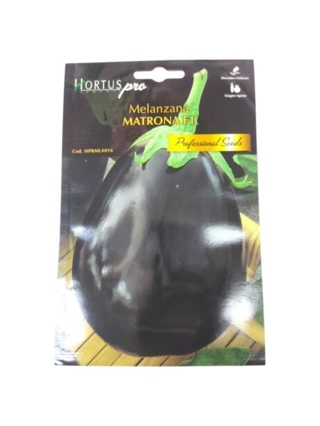 Hortus F1 Eggplant Matrona