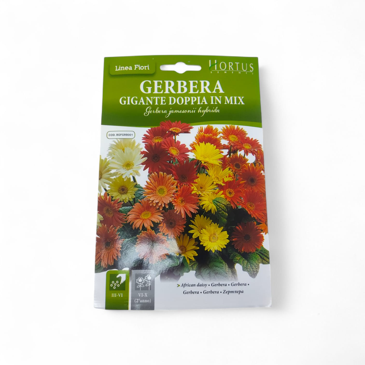Hortus Gerbera