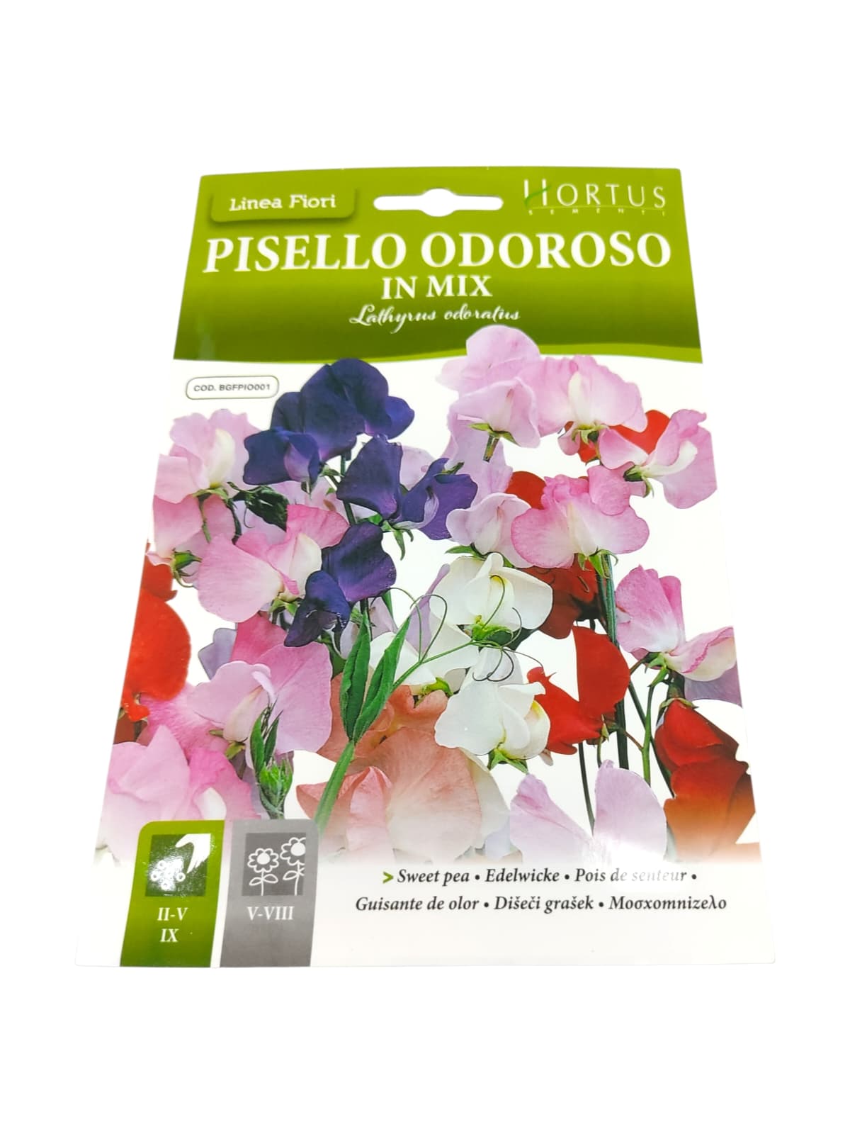 Hortus Sweet Pea