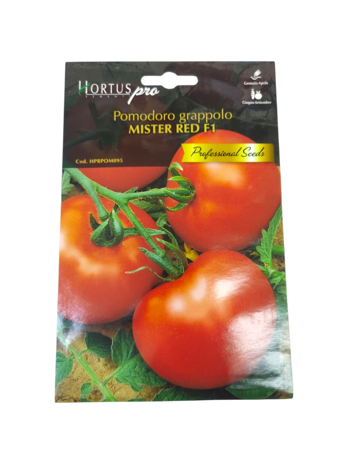 WhatsApp Image 2026-02-01 at 10.40.02 AM